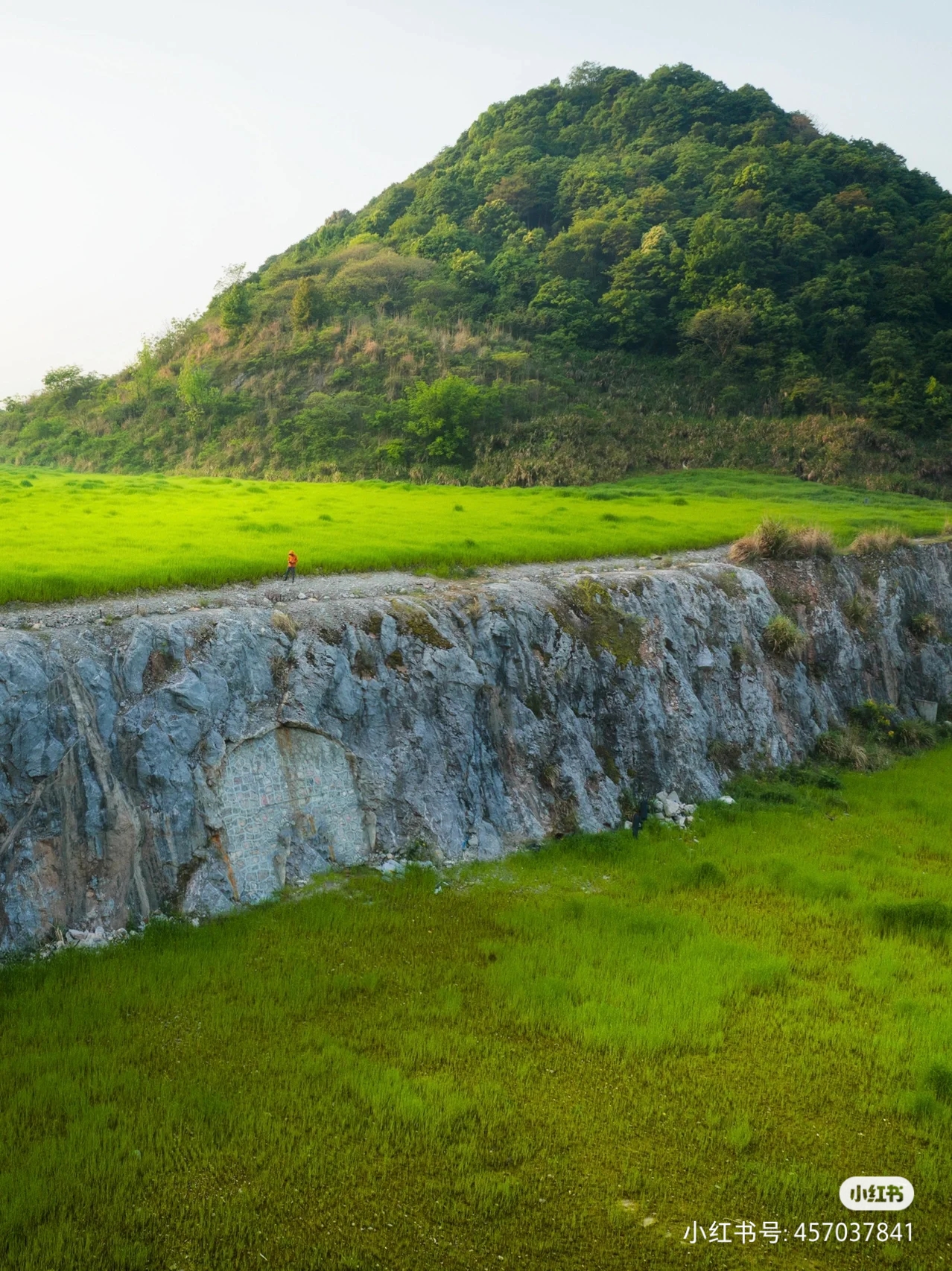 杭州·平原山峰