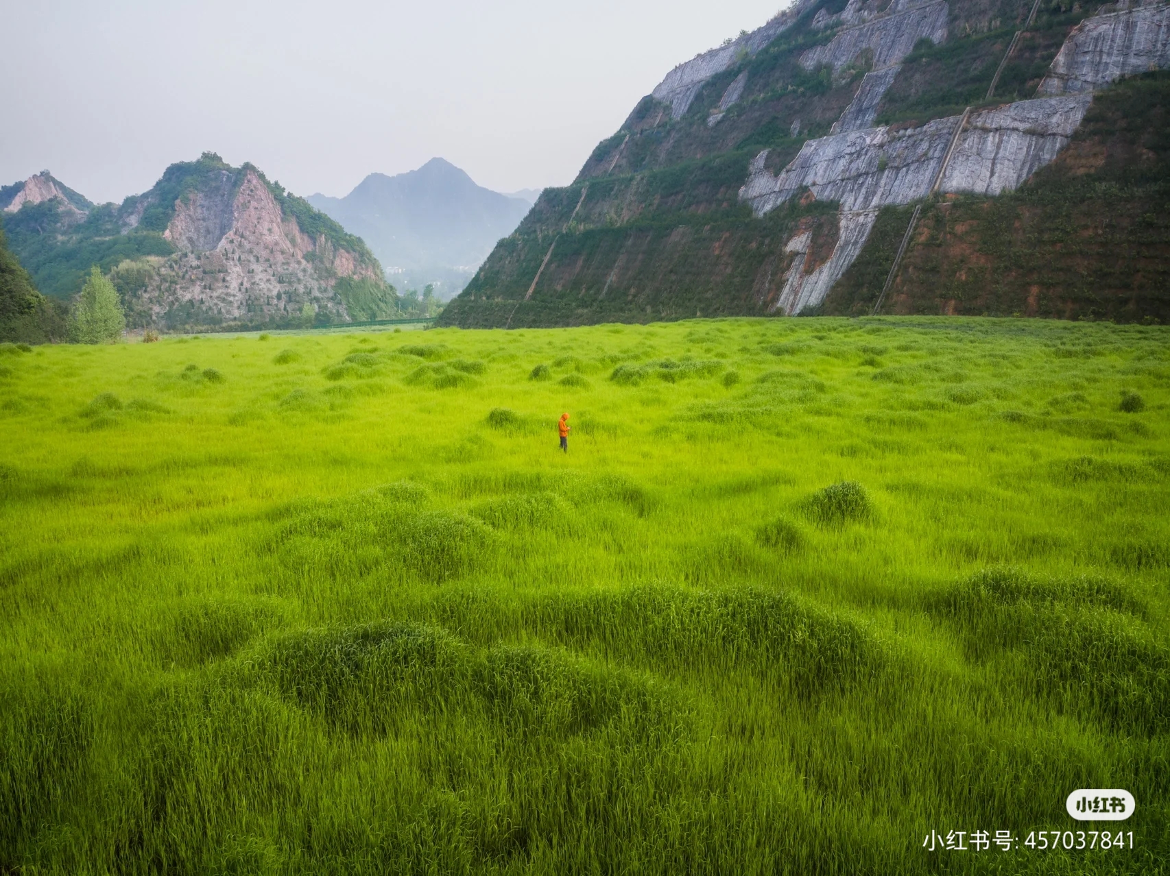 杭州·平原山峰